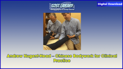 Andrew Nugent-Head – Chinese Bodywork for Clinical Practice