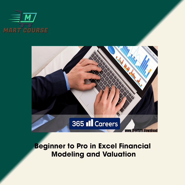 Basic Modeling Excel Beginner to Pro in Excel Financial Modeling and Valuation - Mart Course ...