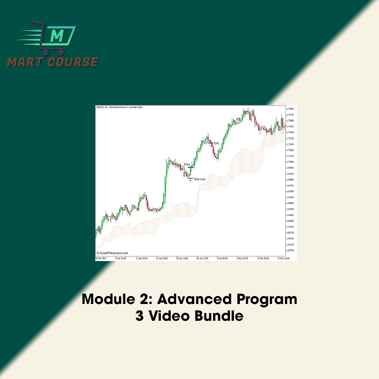 Module 2: Advanced Program – 3 Video Bundle - Mart Course - Buy ...