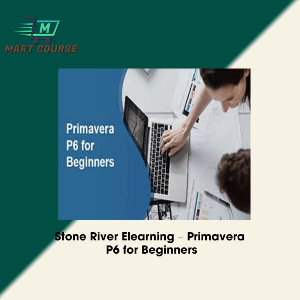 Stone River Elearning – Primavera P6 for Beginners - Mart Course - Buy ...