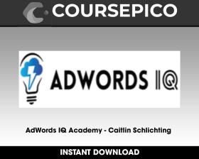 AdWords IQ Academy - Caitlin Schlichting