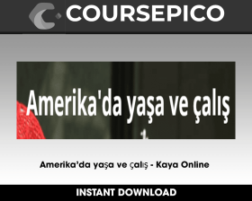 Amerika’da yaşa ve çalış - Kaya Online