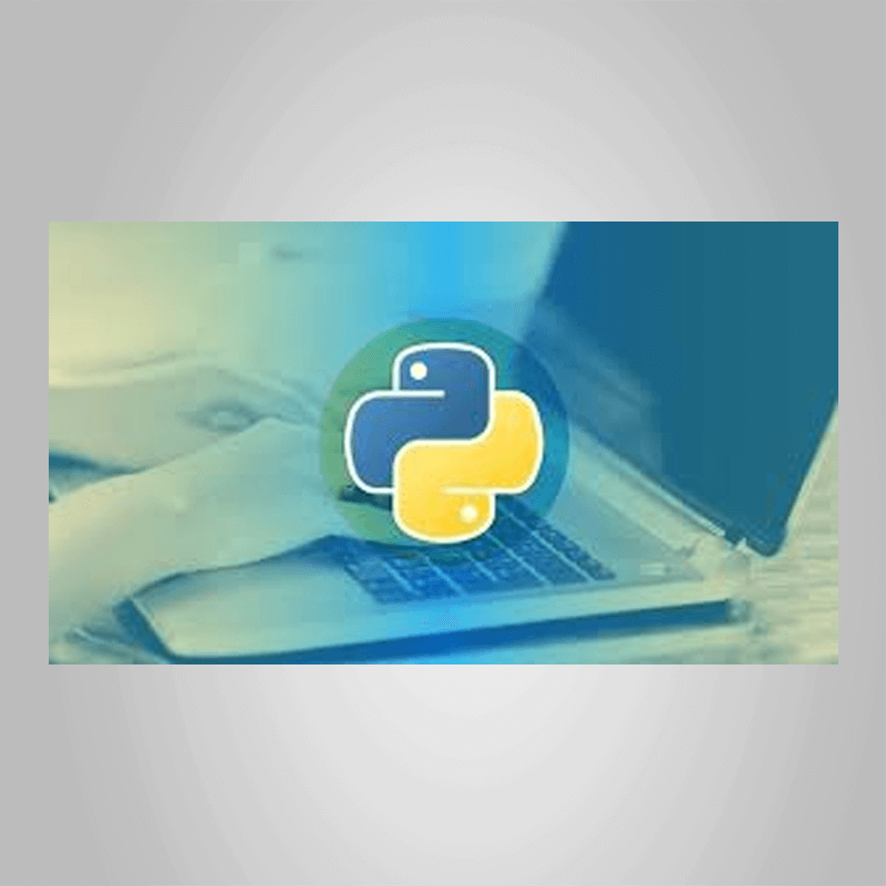 Stone River eLearning – Master the Fundamentals of SQL with Python ...